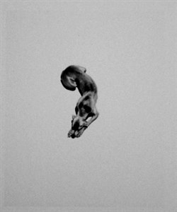 Image description is not available for 2001.086